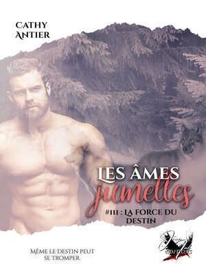 cover image of Les âmes jumelles, Tome 3